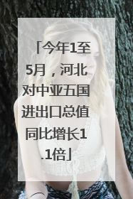 今年1至5月，河北对中亚五国进出口总值同比增长1.1倍