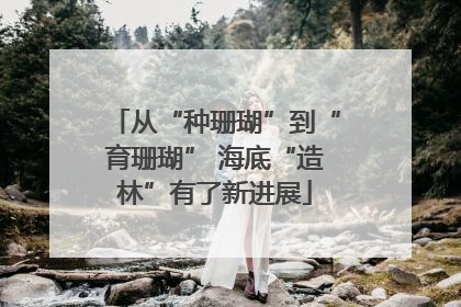 从“种珊瑚”到“育珊瑚” 海底“造林”有了新进展