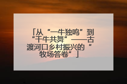 从“一牛独鸣”到“千牛共舞”——古渡河口乡村振兴的“牧场答卷”