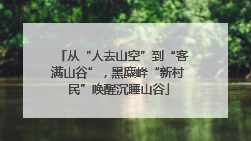 从“人去山空”到“客满山谷”，黑麋峰“新村民”唤醒沉睡山谷
