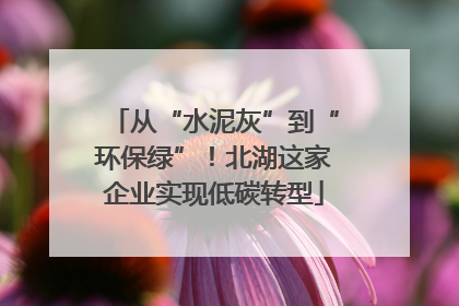 从“水泥灰”到“环保绿”！北湖这家企业实现低碳转型