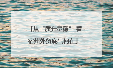 从“质升量稳” 看宿州外贸底气何在