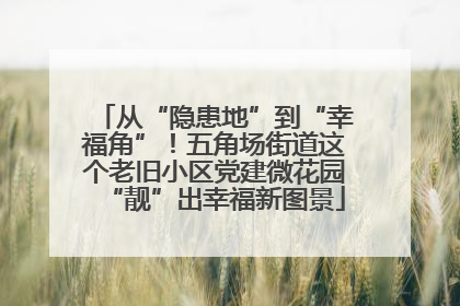 从“隐患地”到“幸福角”！五角场街道这个老旧小区党建微花园“靓”出幸福新图景