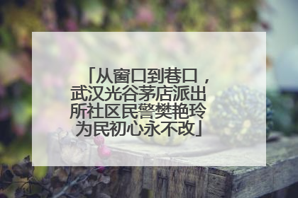 从窗口到巷口，武汉光谷茅店派出所社区民警樊艳玲为民初心永不改