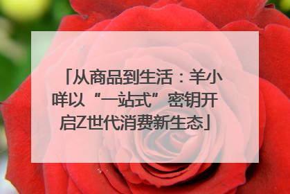 从商品到生活：羊小咩以“一站式”密钥开启Z世代消费新生态
