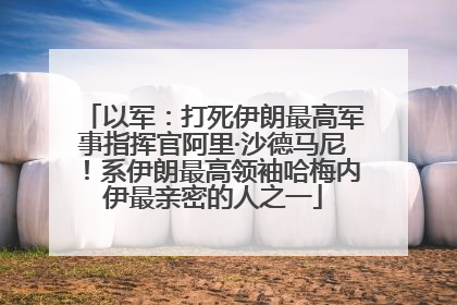 以军：打死伊朗最高军事指挥官阿里·沙德马尼！系伊朗最高领袖哈梅内伊最亲密的人之一