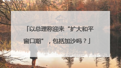 以总理称迎来“扩大和平窗口期”，包括加沙吗？