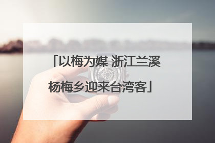 以梅为媒 浙江兰溪杨梅乡迎来台湾客
