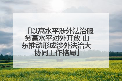 以高水平涉外法治服务高水平对外开放 山东推动形成涉外法治大协同工作格局