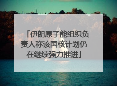 伊朗原子能组织负责人称该国核计划仍在继续强力推进