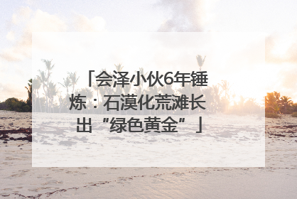 会泽小伙6年锤炼：石漠化荒滩长出“绿色黄金”