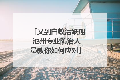 又到白蚁活跃期 池州专业防治人员教你如何应对
