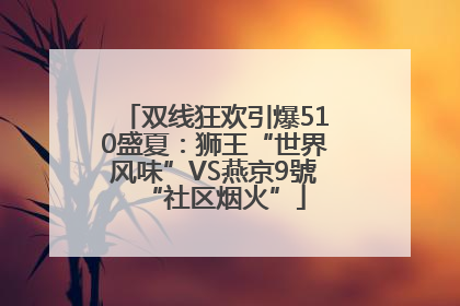 双线狂欢引爆510盛夏：狮王“世界风味”VS燕京9號“社区烟火”