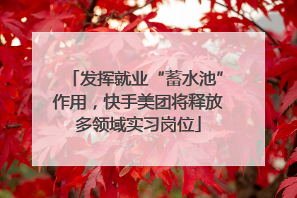 发挥就业“蓄水池”作用，快手美团将释放多领域实习岗位