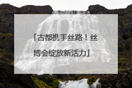 古都携手丝路！丝博会绽放新活力