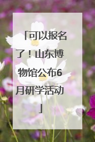 可以报名了！山东博物馆公布6月研学活动