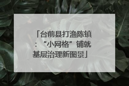 台前县打渔陈镇：“小网格”铺就基层治理新图景