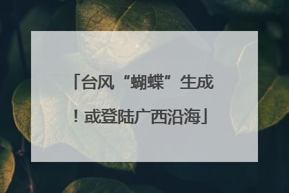台风“蝴蝶”生成！或登陆广西沿海