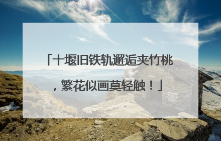 十堰旧铁轨邂逅夹竹桃，繁花似画莫轻触！