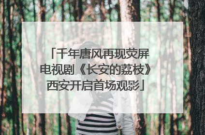千年唐风再现荧屏 电视剧《长安的荔枝》西安开启首场观影