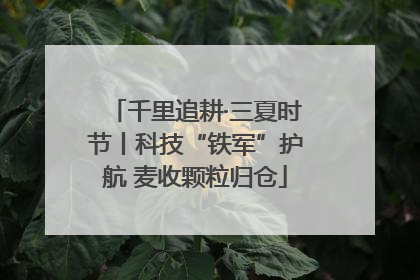 千里追耕·三夏时节丨科技“铁军”护航 麦收颗粒归仓