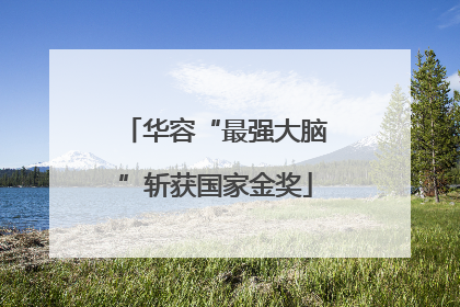 华容“最强大脑”斩获国家金奖