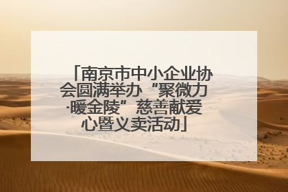 南京市中小企业协会圆满举办“聚微力·暖金陵”慈善献爱心暨义卖活动