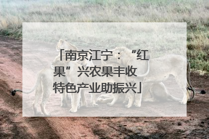 南京江宁：“红果”兴农果丰收 特色产业助振兴
