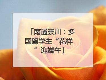 南通崇川：多国留学生“花样”迎端午