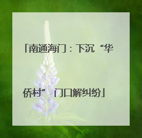 南通海门：下沉“华侨村” 门口解纠纷
