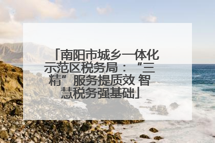 南阳市城乡一体化示范区税务局：“三精”服务提质效 智慧税务强基础