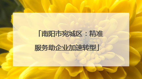 南阳市宛城区：精准服务助企业加速转型