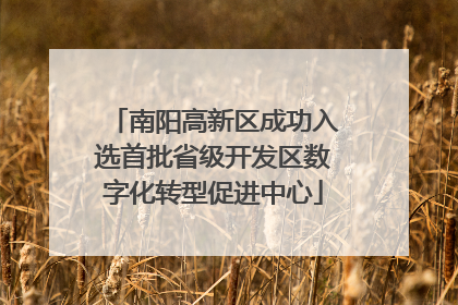南阳高新区成功入选首批省级开发区数字化转型促进中心