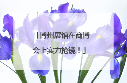 博州展馆在商博会上实力抢镜！