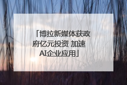 博拉新媒体获政府亿元投资 加速AI企业应用