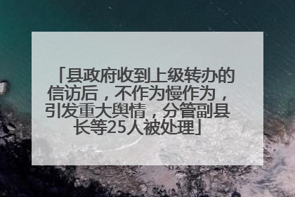 县政府收到上级转办的信访后，不作为慢作为，引发重大舆情，分管副县长等25人被处理