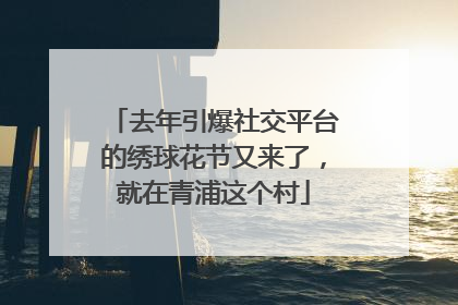 去年引爆社交平台的绣球花节又来了，就在青浦这个村