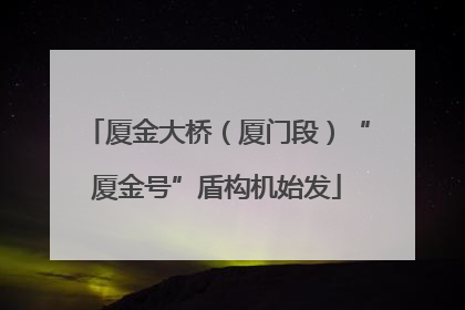 厦金大桥（厦门段）“厦金号”盾构机始发