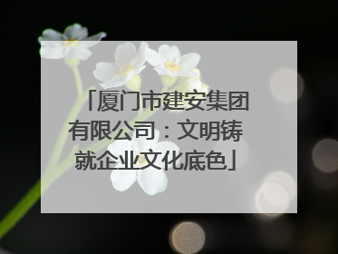 厦门市建安集团有限公司：文明铸就企业文化底色