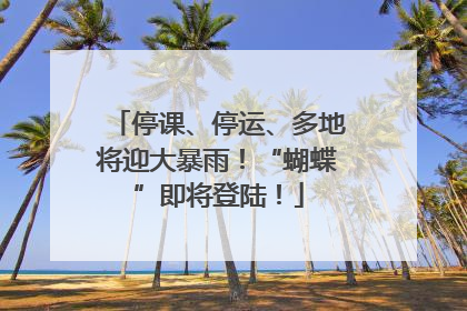 停课、停运、多地将迎大暴雨！“蝴蝶”即将登陆！