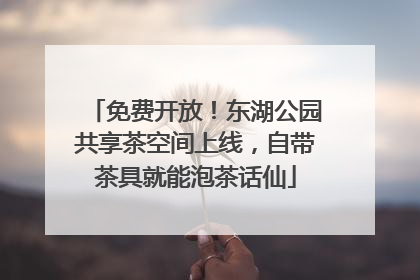 免费开放！东湖公园共享茶空间上线，自带茶具就能泡茶话仙