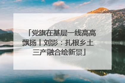 党旗在基层一线高高飘扬丨刘影：扎根乡土 三产融合绘新景