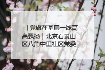 党旗在基层一线高高飘扬｜北京石景山区八角中里社区党委：用脚步丈量民生