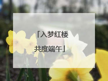 入梦红楼 共度端午
