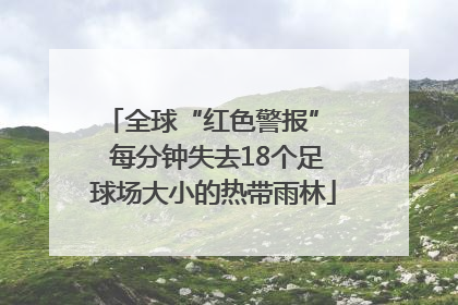 全球“红色警报”  每分钟失去18个足球场大小的热带雨林