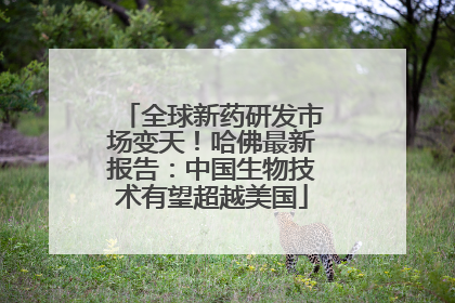 全球新药研发市场变天！哈佛最新报告：中国生物技术有望超越美国