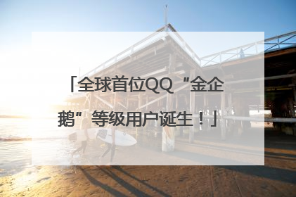 全球首位QQ“金企鹅”等级用户诞生！