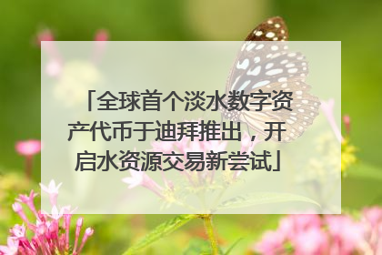 全球首个淡水数字资产代币于迪拜推出，开启水资源交易新尝试