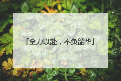 全力以赴，不负韶华