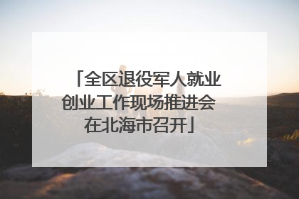 全区退役军人就业创业工作现场推进会在北海市召开